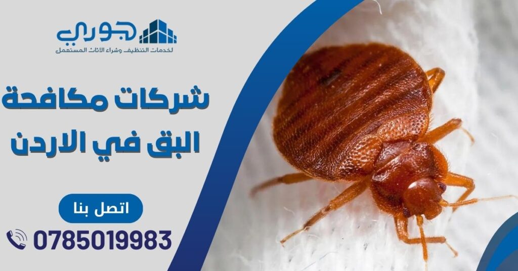 شركات مكافحة البق في الاردن