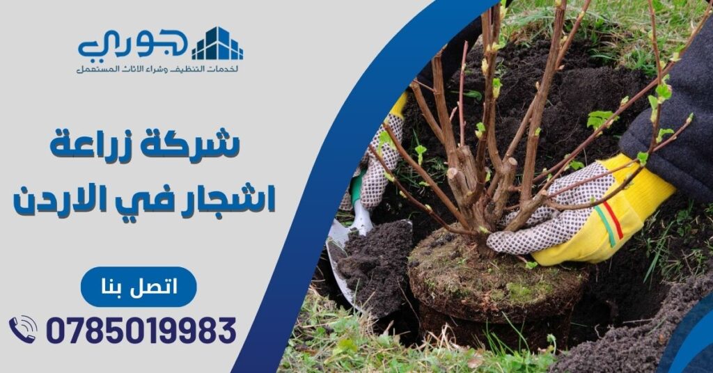 شركة زراعة اشجار في الاردن زراعة اشجار زينة والمثمرة زراعة البذور