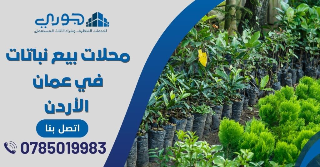 محلات بيع نباتات في عمان نباتات داخلية الاردن اشجار زينة ورود زينة